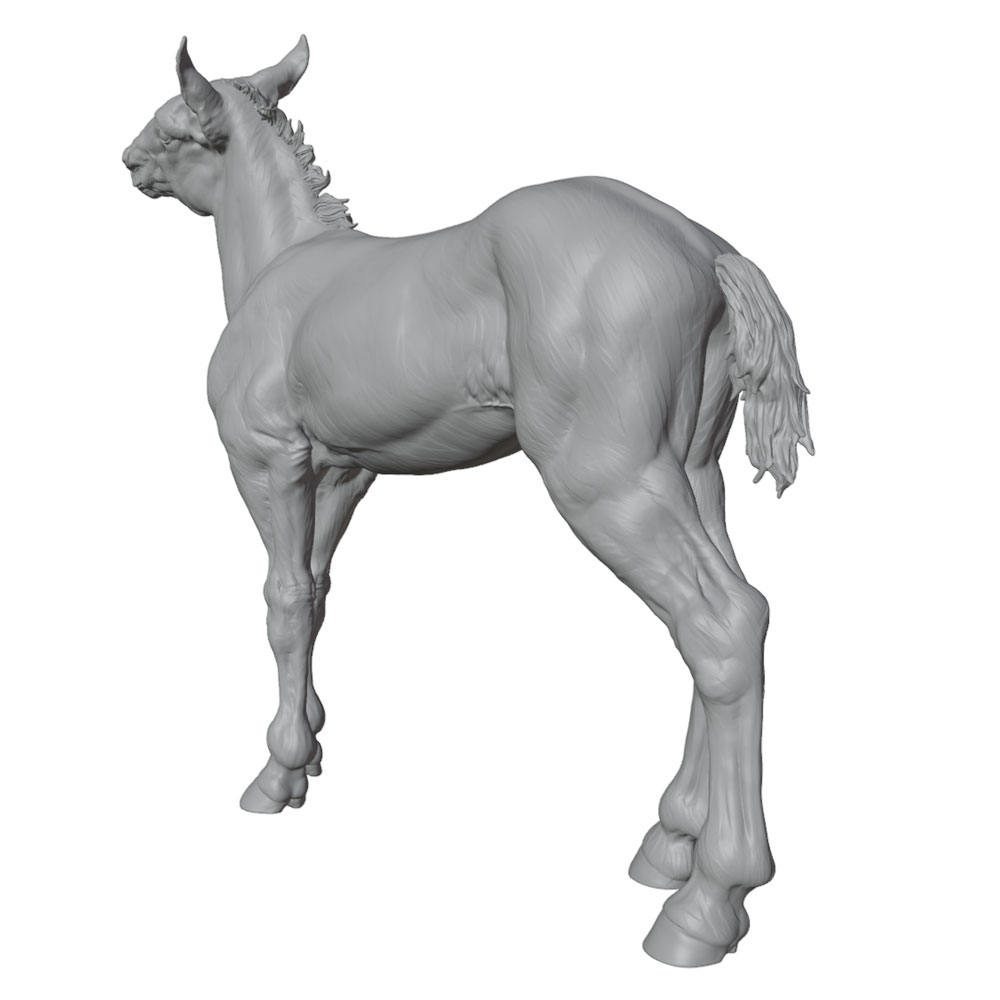งานพิมพ์ที่มีรายละเอียดสูง, รู - 3D Printing App บทวิจารณ์และราคา