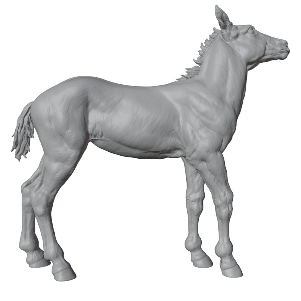 งานพิมพ์ที่มีรายละเอียดสูง, รู - 3D Printing App บทวิจารณ์และราคา